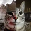 lehaidang_1247