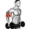 Fitness Tips