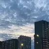 alinapolivoda