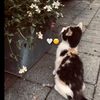 selimzadeee_17