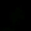 ynmn42