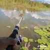 mancing_kolam_wamena