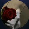 menna_505