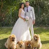 Chow Chow puppies lovers home