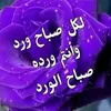 user4371461683349