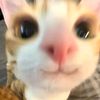 cyaaaaa_090
