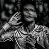 f.silva302