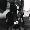 havehaikal_29