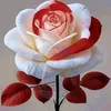 user7057770740344