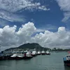 dothinh58
