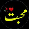 sana.write28s