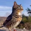 mytregkzj3a