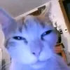 whqz.eroz5