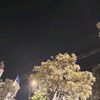 aal_1621