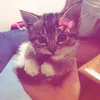 valnize_
