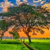 millonhossain24