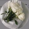 tiktok.comuser67309