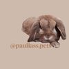 paullaas.pets
