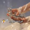 doaa.ali8134