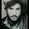 user11549198601551
