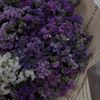 dreami_46