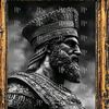 1364ali8