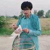sadiq.wazir241
