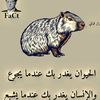 user2323675753862
