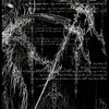 its_sanguine1