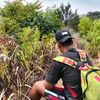 radit_cek