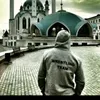 akmed.mma