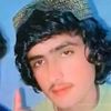 salmangull269