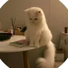 1e1e022