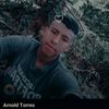 torresarnold19