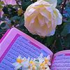 oumamine334