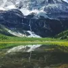 anxi_anxin77779999