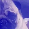 oooowww777