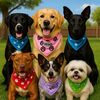 thecountrytails