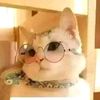 user7719806781166