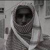 9tji.2