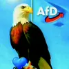 Meinungsfreiheit💙🇩🇪