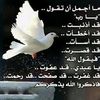 user97387212519036