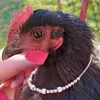 featherbulb
