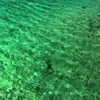 ciufforosso93