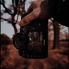 ameer_a