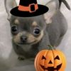 demonjinu1