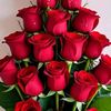 jeremy.sisto._