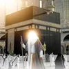 ayi_775