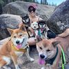 The Shibas & Mama