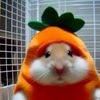 Embun